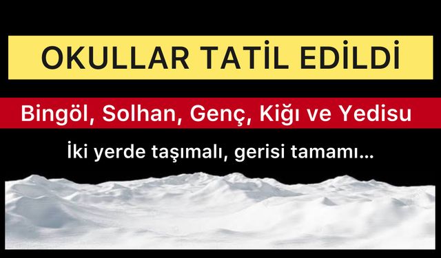 Bingöl, Solhan, Genç, Kiğı ve Yedisu’da Okullar Tatil Edildi