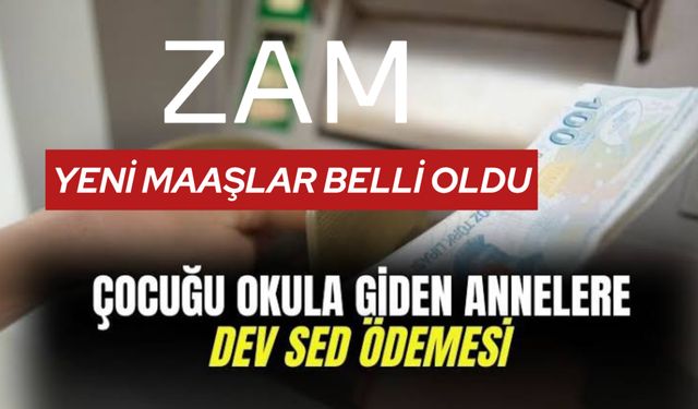 2025 Sosyal Destek Maaşları Belli Oldu: SED Yardımları Nekadar Oldu?