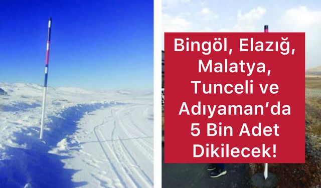 Bingöl, Elazığ, Malatya, Tunceli ve Adıyaman’da 5 Bin Adet Dikilecek!