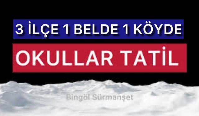 Bingöl’de Bazı Bölgelerde Okullar Tatil Edildi