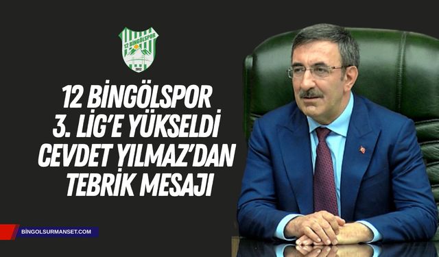 12 Bingölspor 3. Lig'e Yükseldi: Cevdet Yılmaz'dan Tebrik Mesajı