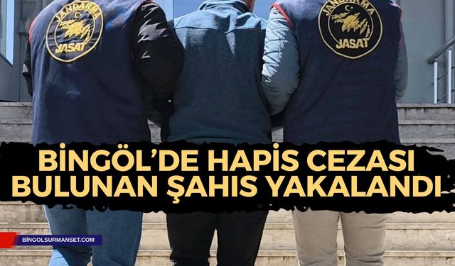 Bingöl’de 4 Yıl 2 Ay Kesinleşmiş Hapis Cezası Bulunan Şahıs Yakalandı