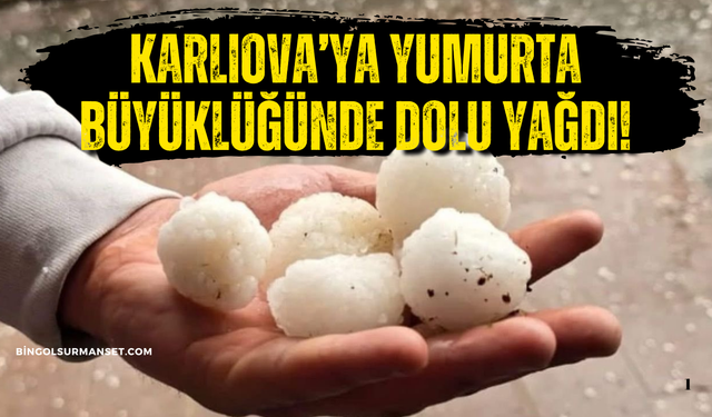 Karlıova'da Yumurta Büyüklüğünde Dolu Yağdı!