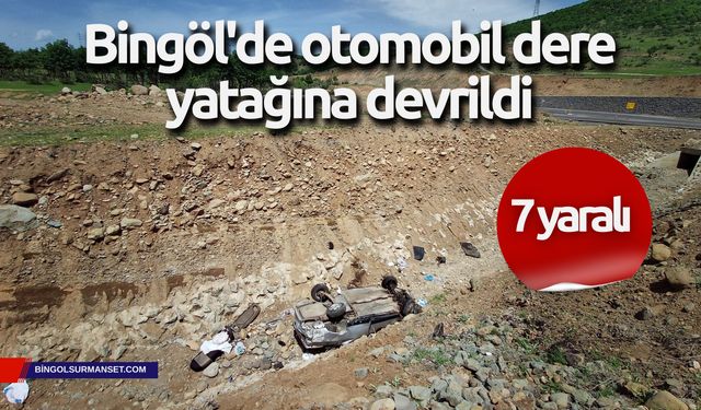 Bingöl'de otomobil dere yatağına devrildi: 7 yaralı