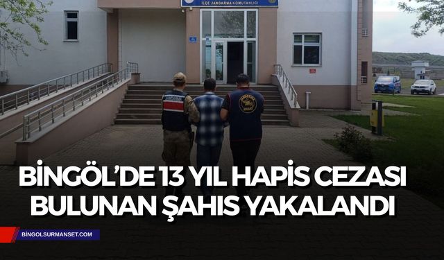 Bingöl’de 13 Yıl Hapis Cezası Bulunan Şahıs Yakalandı