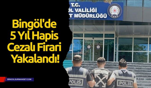 Bingöl'de Aranan Şahıs Adalete Teslim Edildi!