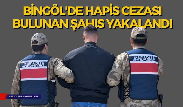 Bingöl'de Kesinleşmiş Hapis Cezası Bulunan Şahıs Yakalandı