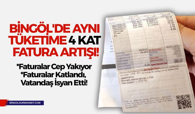 Uçuk Elektrik Faturaları Bingöl'ü Vurdu: Vatandaş Çözüm Bekliyor