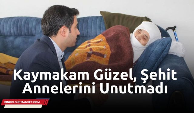 Kaymakam Güzel, Şehit Annelerini Unutmadı