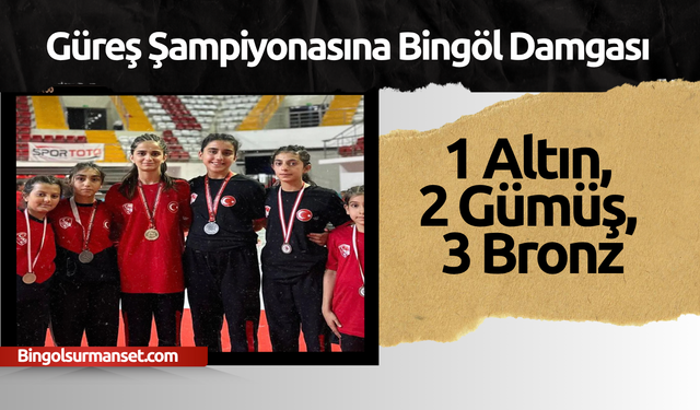 Güreş Şampiyonasına Bingöl Damgası: 1 Altın, 2 Gümüş, 3 Bronz
