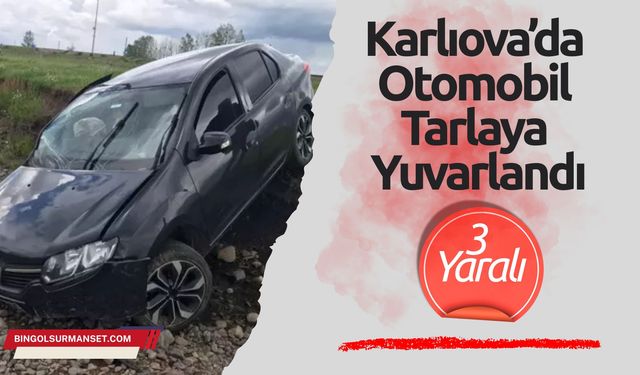 Karlıova’da Otomobil Tarlaya Yuvarlandı: 3 Yaralı