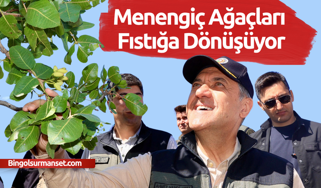Bingöl’de Menengiç Alanları Fıstıkla Canlanıyor