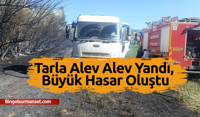 Tarla Alev Alev Yandı, Büyük Hasar Oluştu