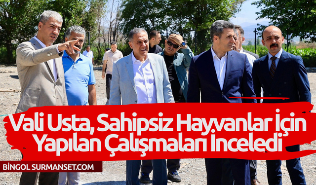 Bingöl Valisi Usta, Sahipsiz Hayvanlar İçin Yapılan Çalışmaları İnceledi