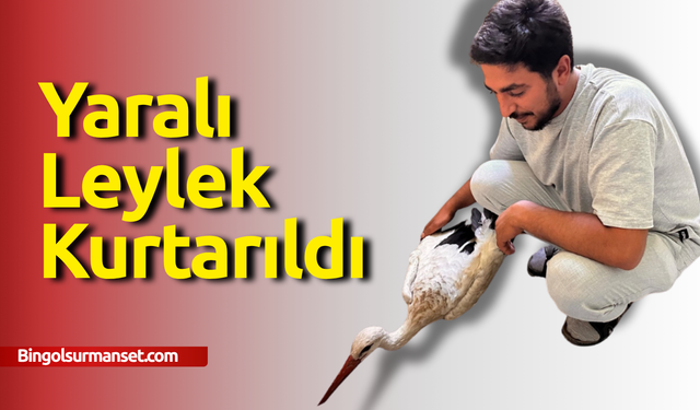 Yaralı Leylek Kurtarıldı