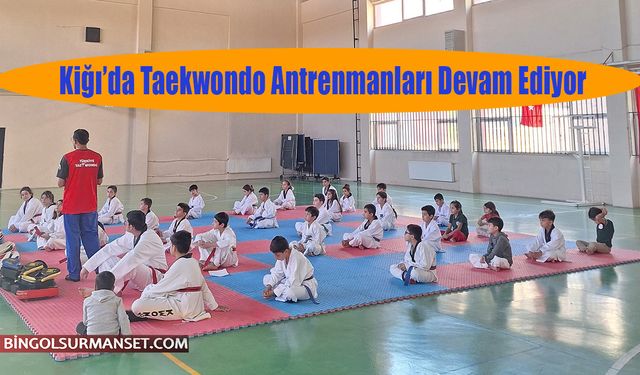 Kiğı’da Taekwondo Antrenmanları Devam Ediyor