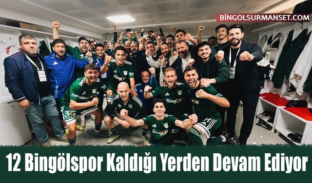 12 Bingölspor Kaldığı Yerden Devam Ediyor