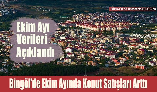 Bingöl'de Ekim Ayında Konut Satışları Arttı