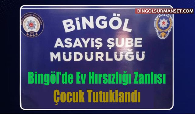 Bingöl'de Ev Hırsızlığı Zanlısı Çocuk Tutuklandı