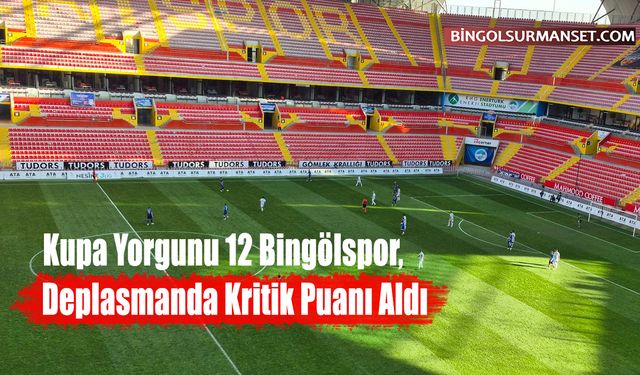 Kupa Yorgunu 12 Bingölspor, Deplasmanda Kritik Puanı Aldı
