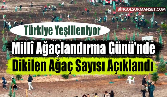 Millî Ağaçlandırma Günü'nde Dikilen Ağaç Sayısı Açıklandı