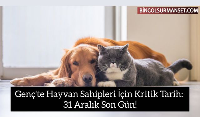 Genç'te Hayvan Sahipleri İçin Kritik Tarih: 31 Aralık Son Gün!