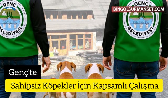 Genç'te Sahipsiz Köpekler İçin Kapsamlı Çalışma