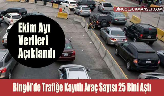 Bingöl'de Trafiğe Kayıtlı Araç Sayısı 25 Bini Aştı