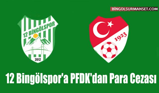 12 Bingölspor'a PFDK'dan Para Cezası