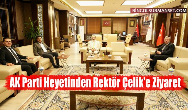 AK Parti Heyetinden Rektör Çelik'e Ziyaret