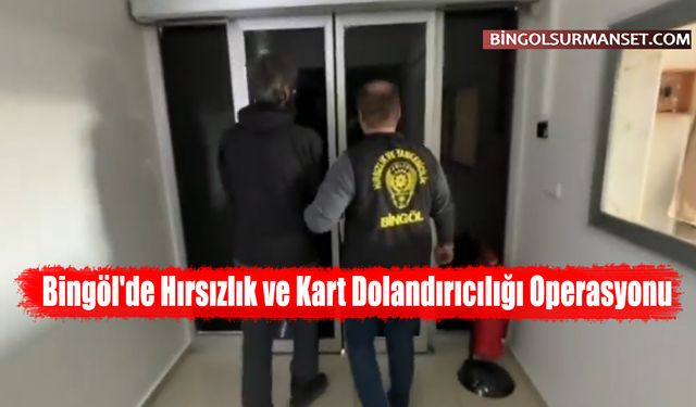 Bingöl'de Hırsızlık ve Kart Dolandırıcılığı Operasyonu