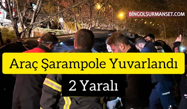 Bingöl'de Araç Şarampole Yuvarlandı, 2 Yaralı
