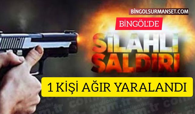 Bingöl'de Silahlı Çatışma: 1 Kişi Ağır Yaralı