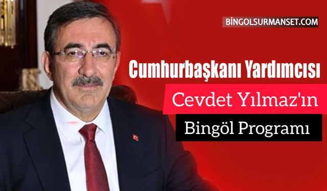 Cumhurbaşkanı Yardımcısı Yılmaz'ın Bingöl Programı Belli Oldu