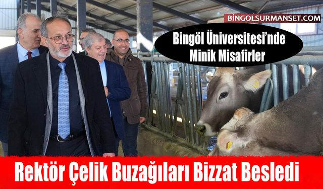 Bingöl Üniversitesi’nde Minik Misafirler Ziyaret Edildi