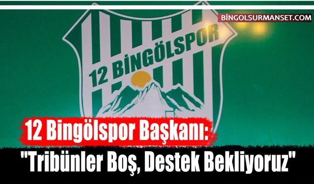 12 Bingölspor Başkanı: "Tribünler Boş, Destek Bekliyoruz"