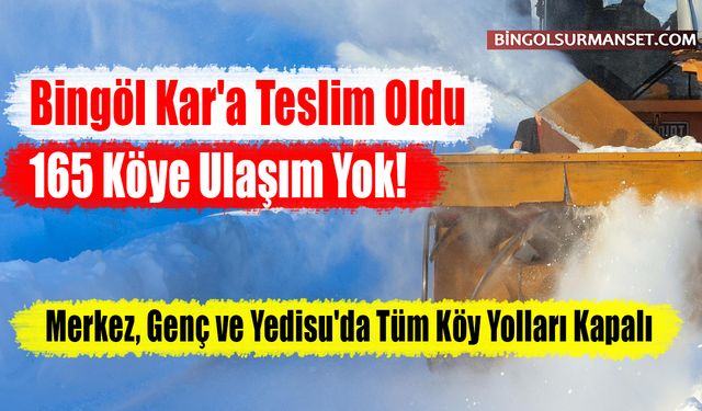 Bingöl Kar'a Teslim Oldu: 165 Köye Ulaşım Yok!