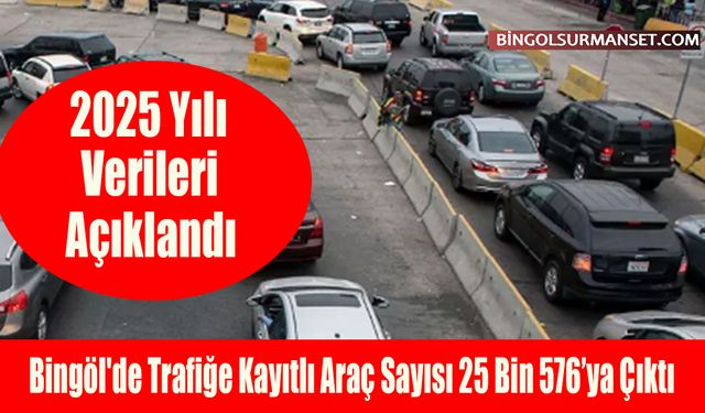 Bingöl'de Kayıtlı Araç Sayısı 25 Bini Geçti