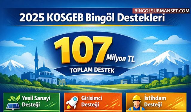 Bingöl'de Girişimcilik ve Sanayiye 2025'te Rekor Destek
