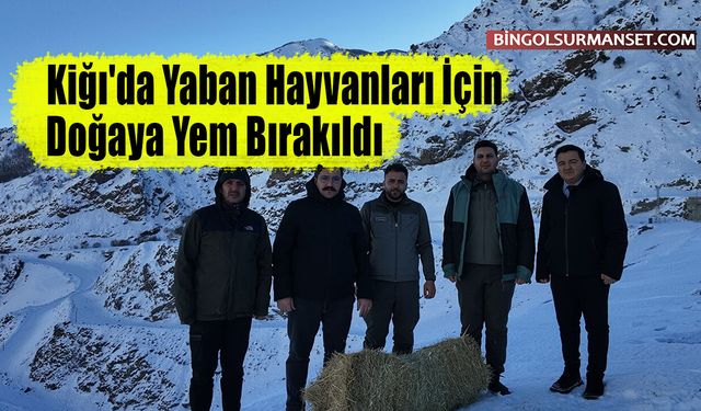Kiğı'da Yaban Hayvanları İçin Doğaya Yem Bırakıldı