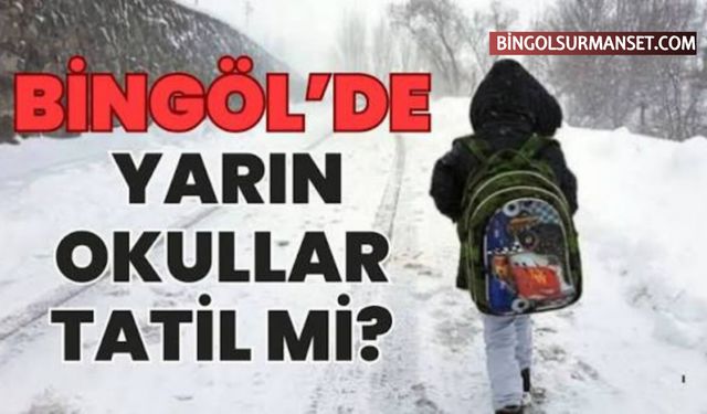 Bingöl'de Yarın Okullar Tatil Olacak mı?