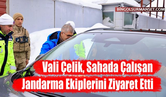 Vali Çelik, Sahada Çalışan Jandarma Ekiplerini Ziyaret Etti