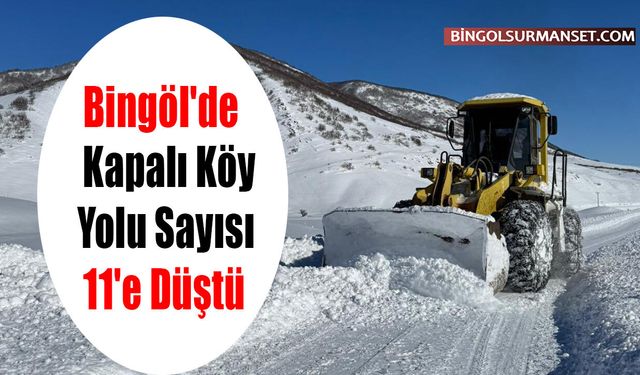 Bingöl'de Kapalı Köy Yolu Sayısı 11'e Düştü
