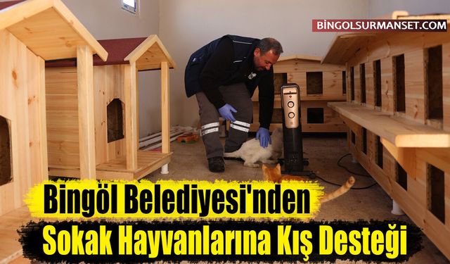 Bingöl Belediyesi'nden Sokak Hayvanlarına Kış Desteği