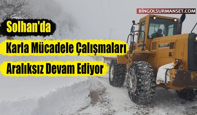 Solhan'da Karla Mücadele Çalışmaları Aralıksız Devam Ediyor
