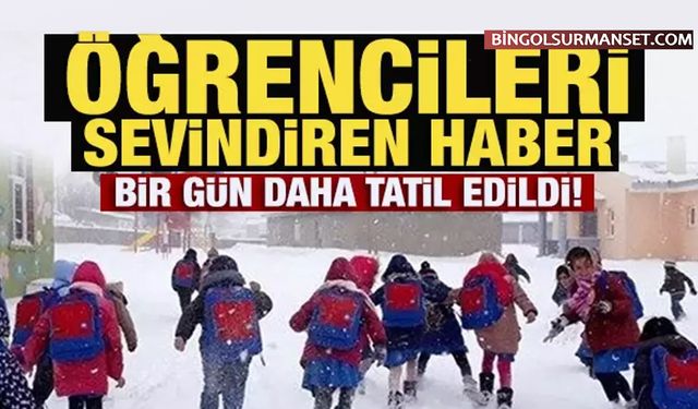 Bingöl'de Bir İlçeden Tatil Haberi Geldi