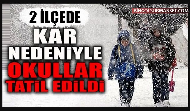 Bingöl'de Kar Tatili Yapan İlçe Sayısı 2'ye Çıktı
