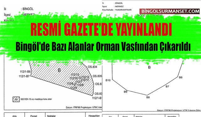 Bingöl'de Bazı Alanlar Orman Vasfından Çıkarıldı