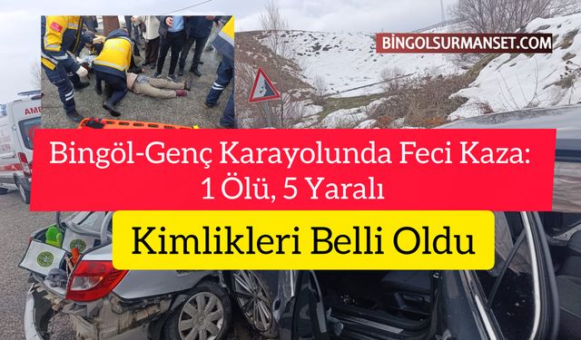 Bingöl-Genç Karayolunda Feci Kaza: 1 Ölü, 5 Yaralı