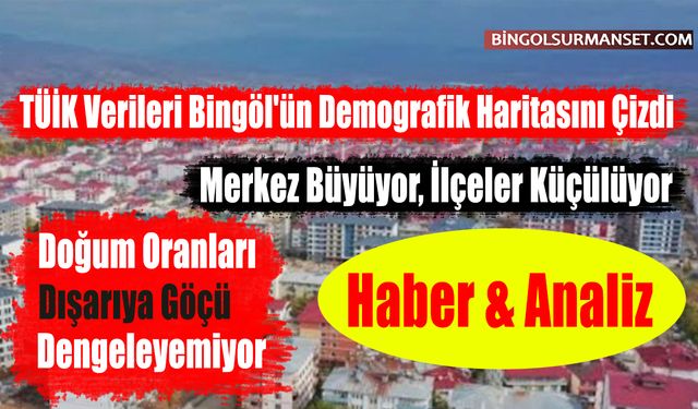 TÜİK Verileri Bingöl'ün Demografik Haritasını Çizdi